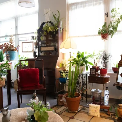 eclectic-living-room-Franklin-and-Noble